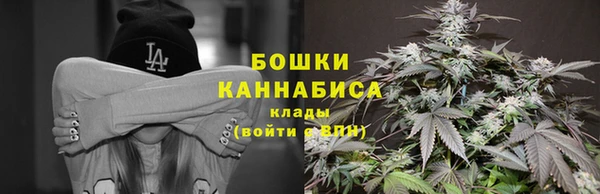 сатива Балабаново