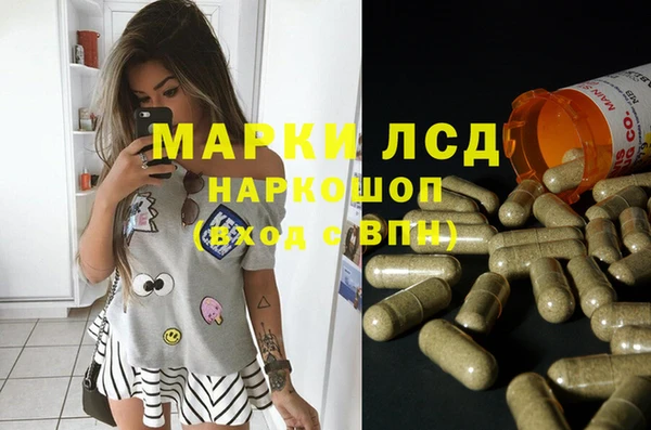 ПСИЛОЦИБИНОВЫЕ ГРИБЫ Аркадак
