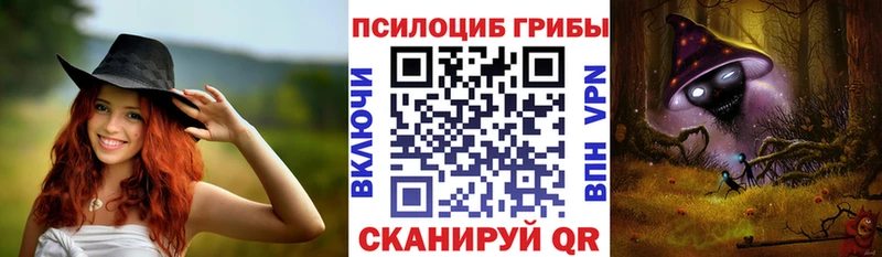 Псилоцибиновые грибы Psilocybine cubensis  Новая Ладога 